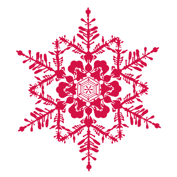 snowflake 1 snowflake 1