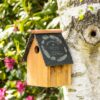 Personalised Bird Box Slate / Bird Nest