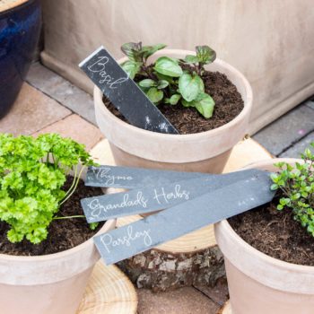 Personalised Slate Garden Plant Labels The Laser Boutique Personalised Slate Garden Plant Labels, Slate Garden Markers