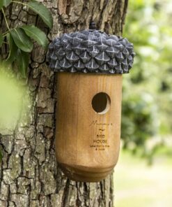 acorn bird house 1